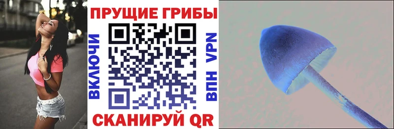Купить Апшеронск Псилоцибиновые грибы ЛСД