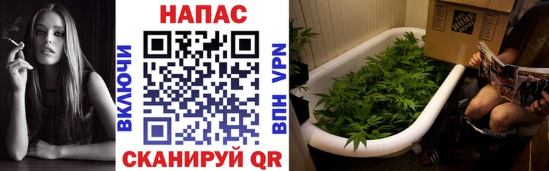 Канабис планчик  Купить где  Апшеронск 